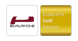 SiteBoosters sind zertifizierter Evalanche Gold Partner